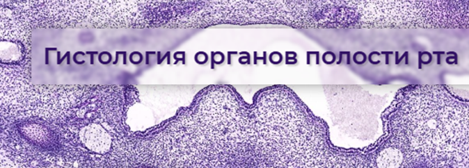 image_card